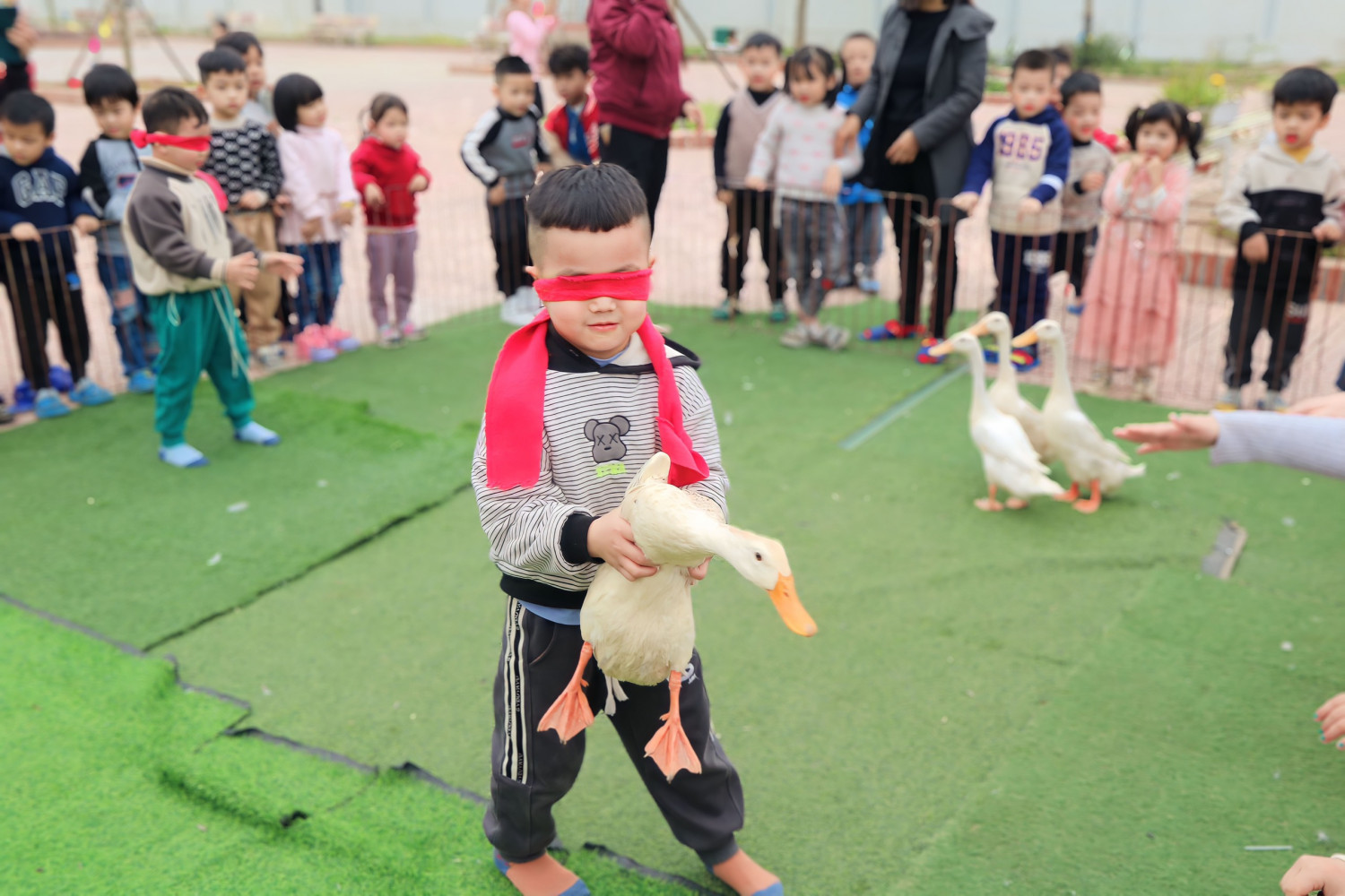 z5123472507529 cf6ebf615be22b6b6f0fd60564acba01